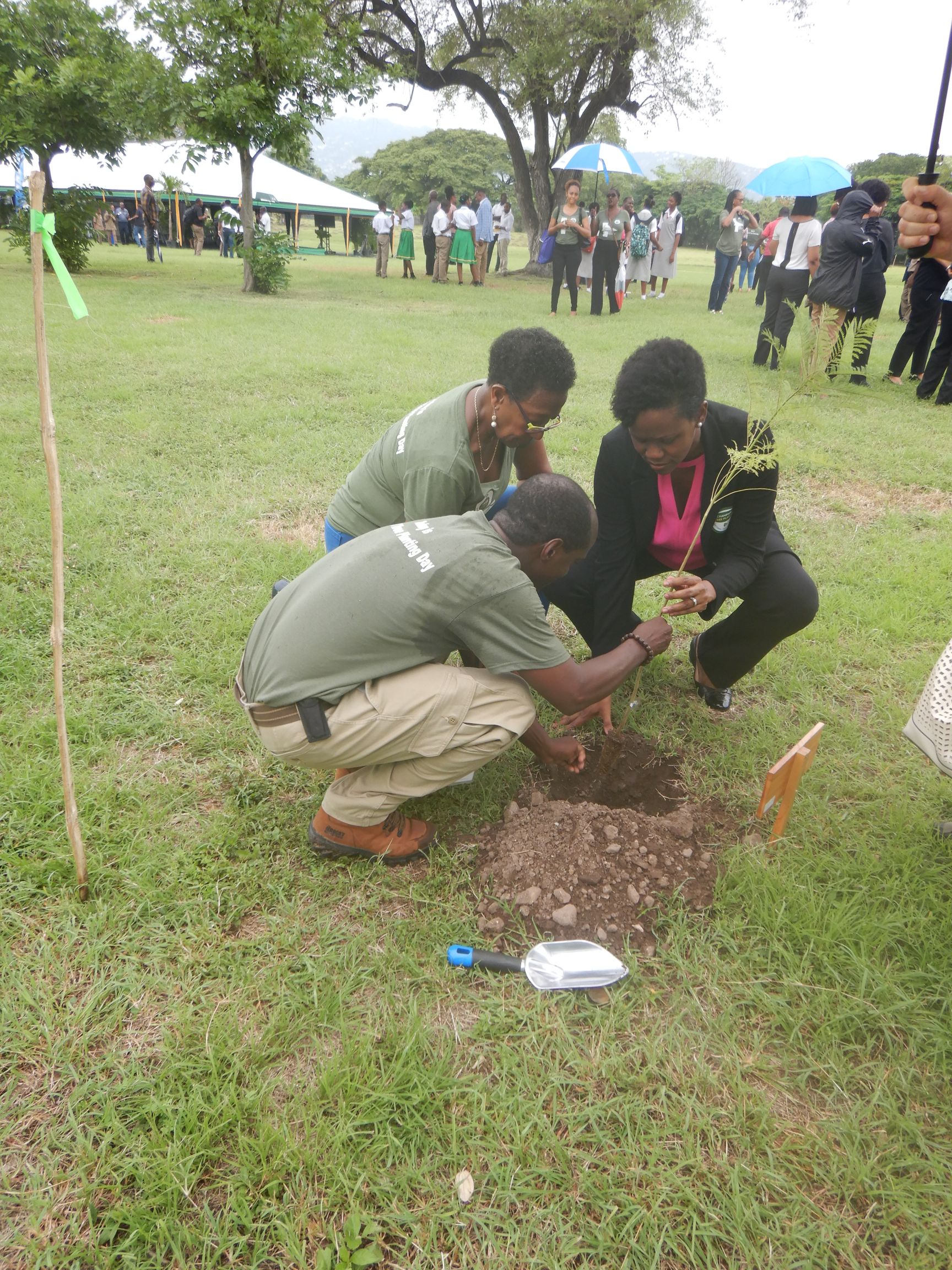 National Tree Planting Day 2019