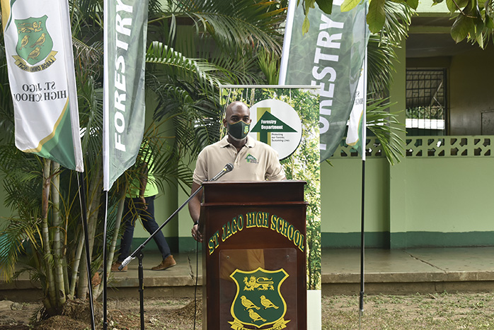 #MyTreeLegacy Launch