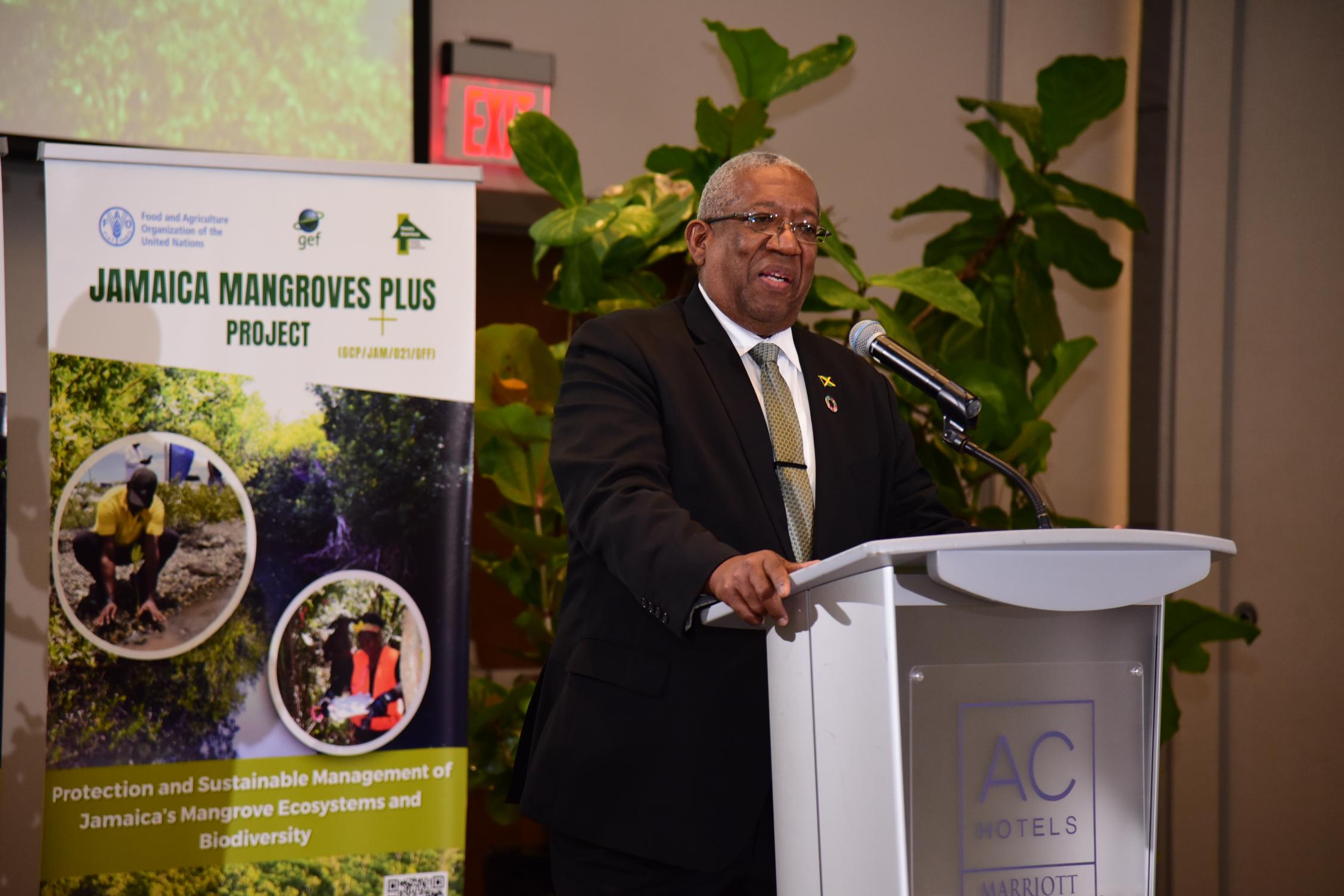Jamaica Mangroves Plus Project Launch 2024
